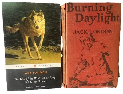 1st Edition 6th Print Burning Daylight 1913 HC + Call Of Wild PB Jack London Lot Foto 1 de 4