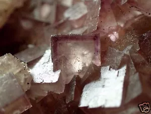 FLUORITE * CRISTAUX ZONÉS SUR QUARTZ * JOLI !!! Village de loups, ALLEMAGNE - Photo 1 sur 11