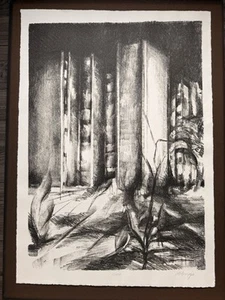 🏙️ Urban Shadows - Litografía Edición Limitada de M. Brygs (11/100) - Imagen 1 de 4