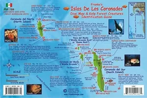 Coronado Islands Mexico Map & Kelp Creatures Waterproof Fish Card Franko Maps - Picture 1 of 2