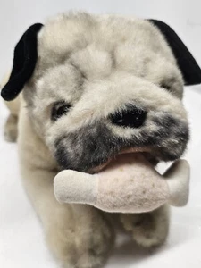 Tail Wagging Pug Puppy Dog Barks And Shakes With Bone See Video - Picture 1 of 14