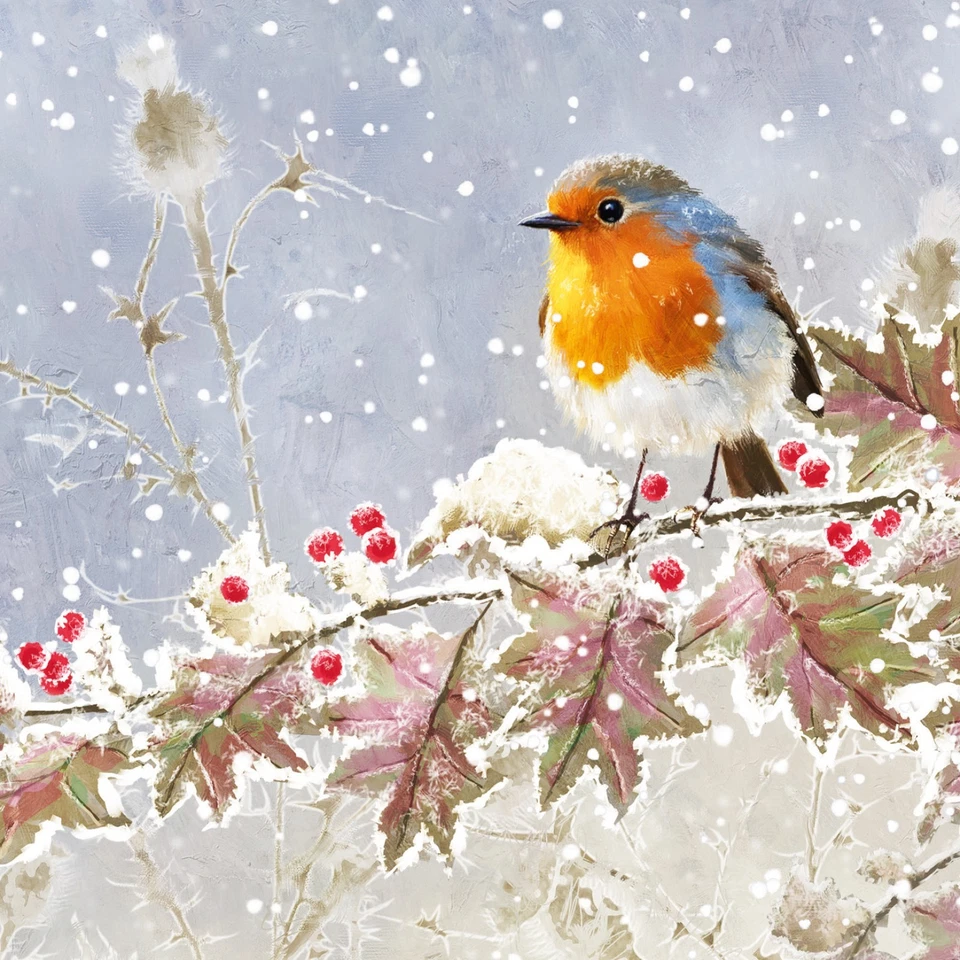 Charity Christmas Cards Tenovus Cancer Care 'Frosted Robin' Pack of 10