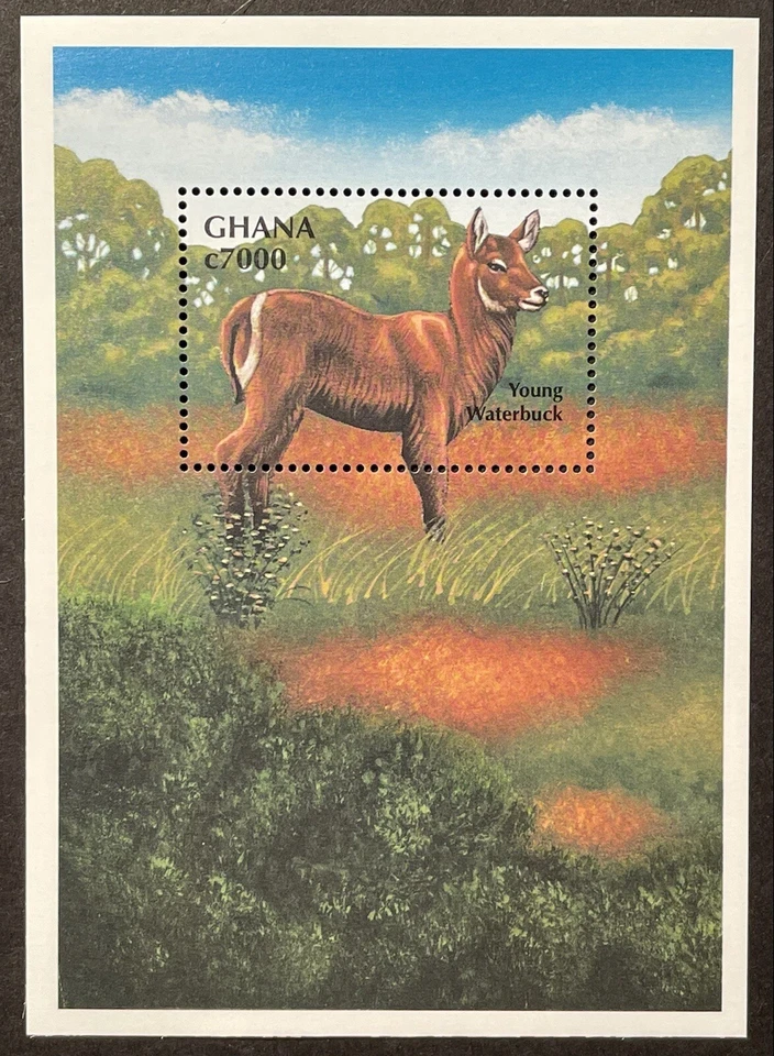 HOJA DE RECUERDO ESTAMPILLAS GHANA JOVEN WATERBUCK 2000 MNH ANIMALES SALVAJES FAUNA DE VIDA SILVESTRE Foto 1 de 1