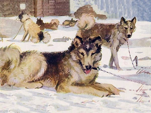 SIBERIAN HUSKY SLED DOG GROUP OF DOGS LOVELY GREETINGS NOTE CARD - Picture 1 of 1