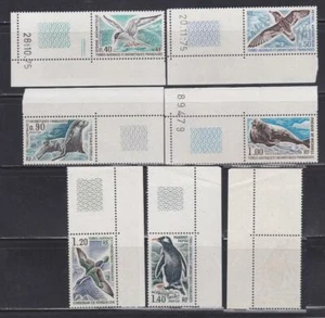 BIRD39 - BIRDS STAMPS FRENCH SOUTHERN ANTARCTIC 1977 PLATE NOS MARGINS MNH - Picture 1 of 1