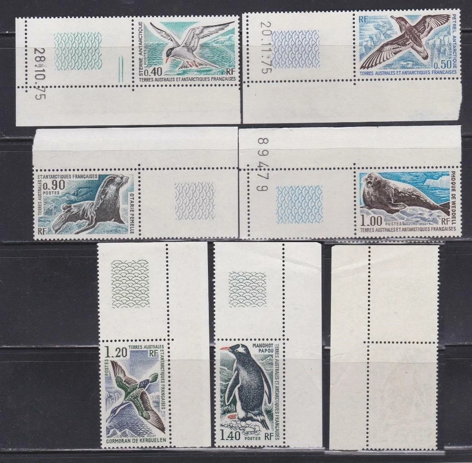 BIRD39  -  BIRDS STAMPS FRENCH SOUTHERN ANTARCTIC 1977 PLATE NOS MARGINS MNH - Image 1 of 1