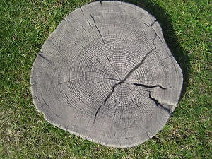Large Log Stepping Stone Garden Ornament - Picture 1 of 3