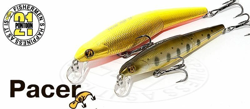 PONTOON 21 POISSON NAGEUR PACER 75F-SR (Jointed Minnow) - Photo 1/1