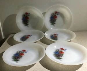 Arcopal vintage 6 assiettes creuses motif Pétunia 6 french soup plates - Imagen 1 de 2