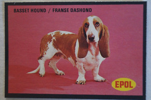 Dogs Vintage 1974 Epol Animal Feeds Colour Collector Card - Basset Hound