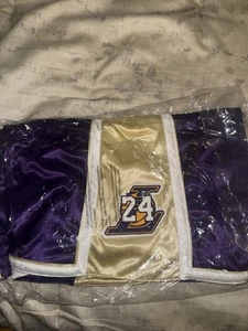 Mitchell & Ness LA Lakers Kobe Bryant Mamba Hall Of Fame Reversible Shorts XL - Picture 1 of 4