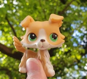 Mini Pet Shop LPS Collie 272 Green Eyes Yellow body Who Love LPS Kids Gift Rare - Picture 1 of 2