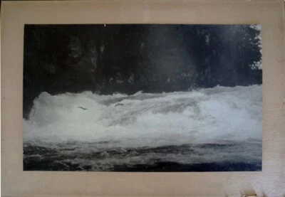 Fotos originales c1920 2 x grandes Goldstream River BC Salmon Run saltando 13" x 8" Foto 1 de 4