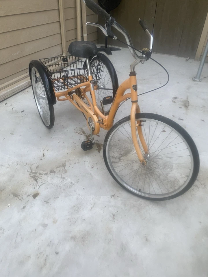 Triciclo... Guardabarros delantero no conectado, lo tengo. Necesita aire en todos los neumáticos.  Foto 1 de 2