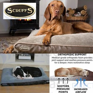 scruffs hilton memory foam