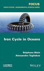 Iron Cycle in Oceans by Alessandro Tagliabue (English) Paperback Book