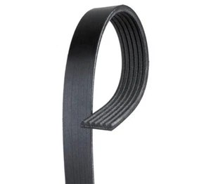 Serpentine Belt Dayco 5060970 97" 6 RIB SERPENTINE BELT MARCH PERFORMANCE - Picture 1 of 1