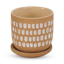 Moe's Home Collection's Botanical Planter 4.5in Natural