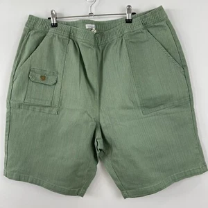 Victoria Hill Bermuda Elastic Waist Shorts Plus Size 26 Mid Rise BNWT Green - Picture 1 of 6