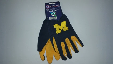 Michigan NCAA Two Tone Sport Utility Gloves Cover