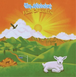 Tim Heidecker Fear of Death (CD) Album - Picture 1 of 1