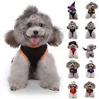 Cute Halloween Pet Costumes Dog Cat Cosplay Bat Wings Puppy Dress  Party Clothes