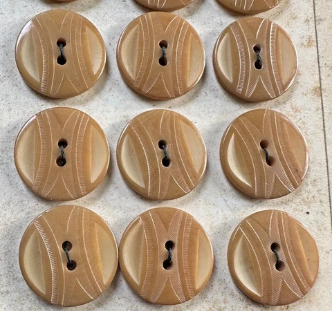 24 Antique Tan Carved Vegetable Ivory Buttons on Card 3/4” Cover