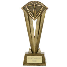 Personalised Engraved Cherish Diamond Great Player Team Award