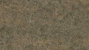 H0 Noch 60326 Struktur-Platz Dorfplatz 15,5 x 21 cm neu OVP - Bild 1 von 2