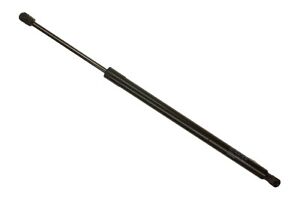 Hatch Lift Support-SOHC, MFI, SFI, Triton Sachs fits 02-05 Ford Expedition