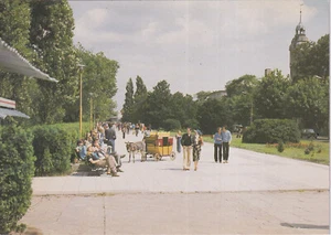 Alte Postkarte - Swinoujscie - Na promenadzie - Picture 1 of 1