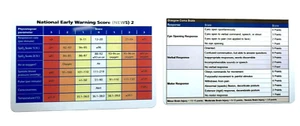 NEWS 2 and GCS ID Badge Flash Card Student Paramedic / Nurse - Imagen 1 de 3