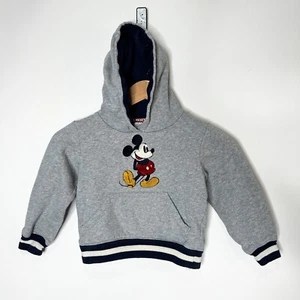 Walt Disney World Park Sweatshirt Hooded Hoodie Toddler Gray Youth XS - Picture 1 of 9