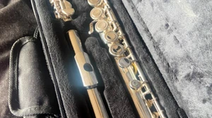 GEMEINHARDT 50 SERIES FLUTE OFFSET G, C FOOT VIDEO DEMO OVERHAULED - Picture 1 of 12