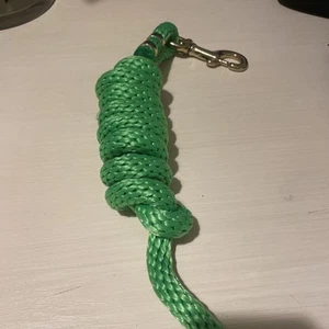 Bright Green Lead rope - Picture 1 of 1