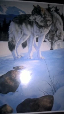 Impresión/imagen vintage enmarcada de lobo Foto 1 de 3