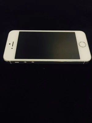 Excellent Apple iPhone SE 64GB SILVER UNLOCKED GSM AT&T T-MOBILE CRICKET ULTRA  - Image 1 of 3