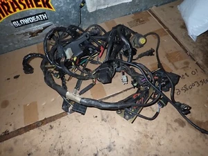 Ducati Monster m900 m900 ie wiring harness 2000 - Picture 1 of 1