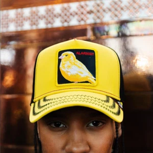Goorin Animal Farm Trucker Snapback Baseball Hat Cap Life's A Gas Alarmist Bird - Picture 1 of 9