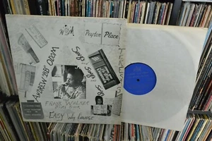Andrew "B.B." Odom Rare Blues & R&B LP Private 1976 From Chi-Town  NM - Foto 1 di 3