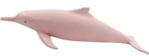 INDO-PACIFIC HUMPBACKED DOLPHIN 2019 Safari Ltd Dolphins TOOB 100475 Mini Figure - Picture 1 of 1