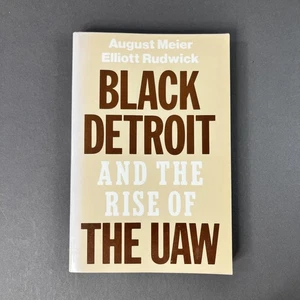 Black Detroit and the Rise of the UAW 1979 Vintage Meier, Rudwick Oxford PB Book - Picture 1 of 8