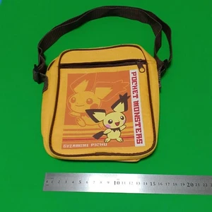Pokemon Center Limited Spiky-eared Pichu Carrying Case from Japan Very Rare! - Picture 1 of 10