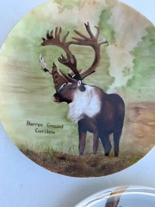1 only Hand Painted Cabinet Plate BARREN GROUND CARIBOU 10 3/8",Wildlife unique - Picture 1 of 6