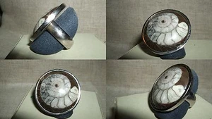 ANELLO RING AMMONITE FOSSILE ORTHOCERAS FOSSIL ARGENTO 925 MISURA 15,5 SILVER - Imagen 1 de 1