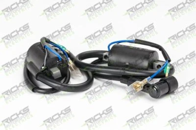 Bobina de encendido Ricks para Honda CL450 Scrambler 1970-1971 Foto 1 de 3