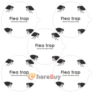 5 Flea Trap Discs Sticky Replacement Pads Refill Home Pest Control Killer Insect - Picture 1 of 12