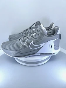 Nike Lebron Witness 6 TB Men Size 14 Wolf Grey/white DO9843-001 - Picture 1 of 16