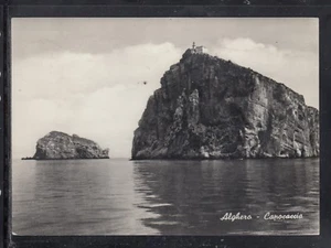 AK Alghero Jagdführer VA346 - Bild 1 von 1