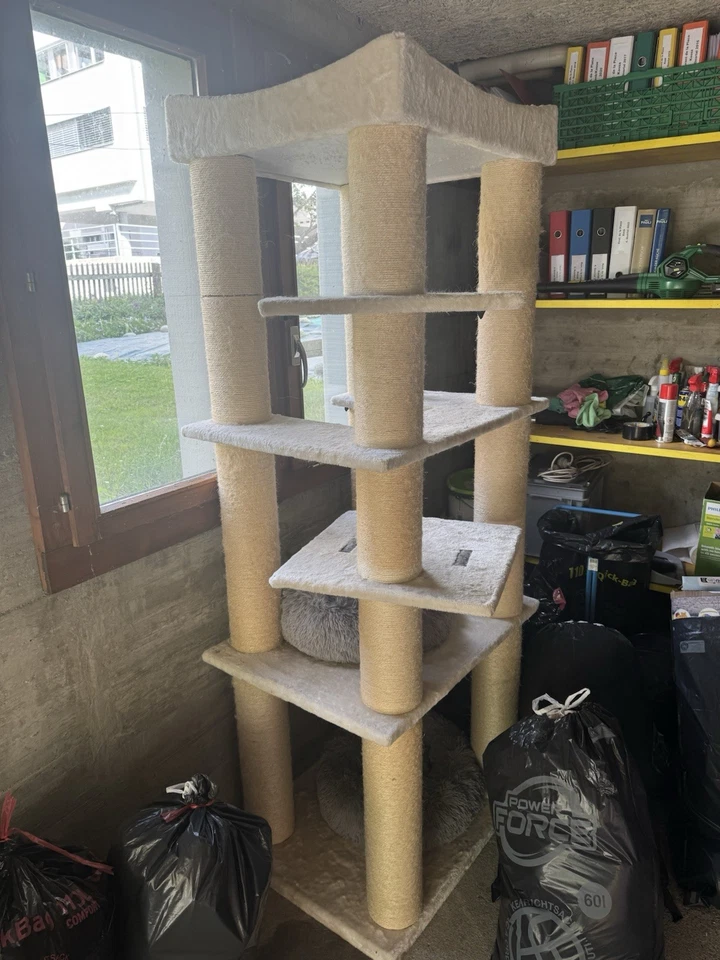 Katzenturm - Bild 1 von 3